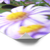 Mooie vlinder op de vloer poster (Hoek)