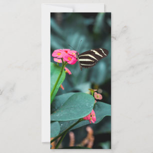Mooie vlinder op een roze bloem magnetische uitnodiging