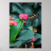 Mooie vlinder op een roze bloem poster (Voorkant)