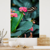 Mooie vlinder op een roze bloem poster (Keuken)