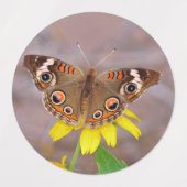 Mooie vlinder op gele bloem labels (Design 1)
