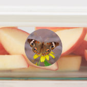 Mooie vlinder op gele bloem labels (Aangebracht)