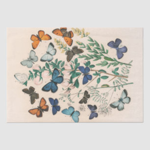 mooie vlinders botanische decoupage tissuepapier