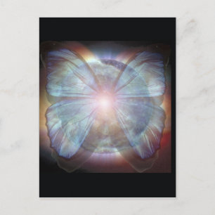 Mooie Vlinders Briefkaart