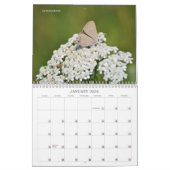 Mooie vlinders en motten kalender (Jan 2026)