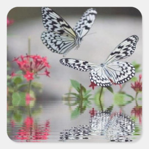 Mooie Vlinders in Flight Sticker Set