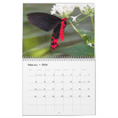 Mooie vlinders kalender (Feb 2026)