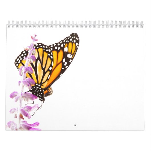 Mooie vlinders kalender (Hoes)