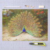 Mooie vogel kleurrijke Peacock schilderen Tissuepapier (Craft)