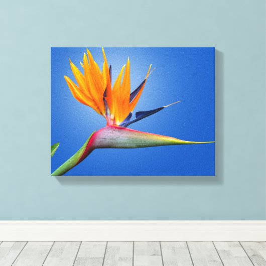 Mooie vogel van Paradise Strelitzia Flower Canvas Afdruk (Insitu (Houten vloer))