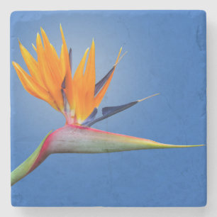 Mooie vogel van Paradise Strelitzia Flower Stenen Onderzetter
