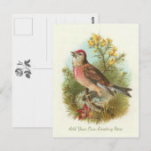 Mooie  vogel voegt je eigen groet toe briefkaart (Voorkant / Achterkant)