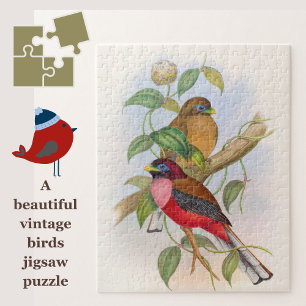 Mooie  vogelillustratie Puzzle Legpuzzel
