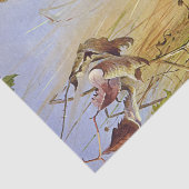  Mooie Vogels Bramblings & Chaffinch Tissuepapier (Detail)