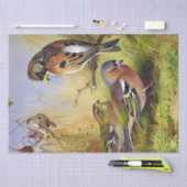  Mooie Vogels Bramblings & Chaffinch Tissuepapier (Craft)