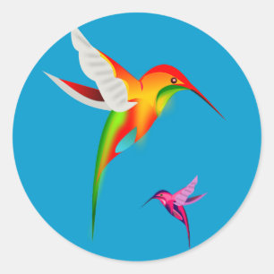 Mooie vogels (Colibri) Ronde Sticker