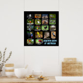 Mooie vogels in Australië Poster (Keuken)