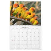 Mooie vogels kalender (Mar 2027)