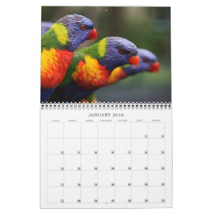 Mooie vogels kalender