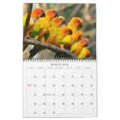 Mooie vogels kalender (Mar 2026)