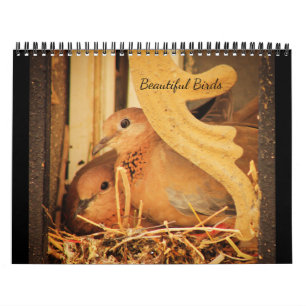 Mooie vogels kalender