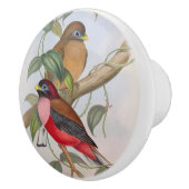 Mooie  Vogels Moderne boerderij Keramische Knop (Rechts)