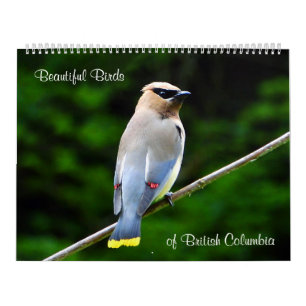 Mooie vogels van Brits-Columbia Kalender