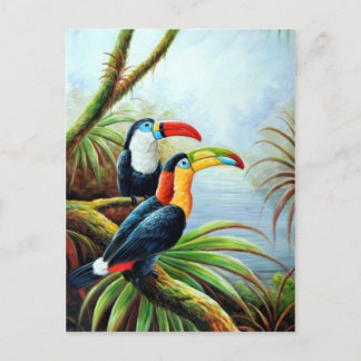 mooie vogelsoorten briefkaart 02