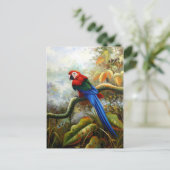 mooie vogelsoorten briefkaarten 06 (Staand voorkant)