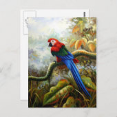 mooie vogelsoorten briefkaarten 06 (Voorkant / Achterkant)