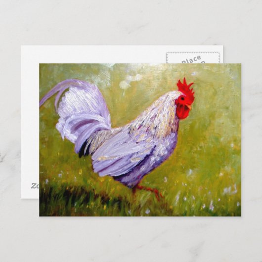 mooie vogelsoorten briefkaarten 12 (Voorkant / Achterkant)