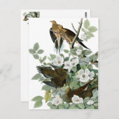 mooie vogelsoorten briefkaarten 28 (Voorkant / Achterkant)