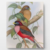 Mooie  vogeltantschildpad met Easel Fotoplaat (Voorkant)