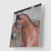 Mooie volgroeide arabische hengst vierkante klok (Hoek)