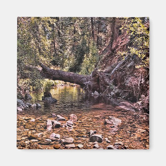 Mooie voorjaarochtend.... magneet (Voorkant)