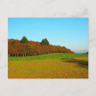 Mooie, vreemde gouden bomen briefkaart