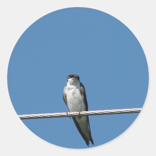 Mooie Vrouw Barn Swallow Ronde Sticker (Voorkant)