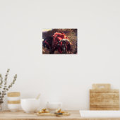 Mooie vrouw zonder Poster (Keuken)