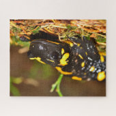 Mooie vuursalamander legpuzzel (Horizontaal)