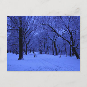 MOOIE WANDELING BRIEFKAART