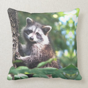 Mooie wasbeer op het oerwoud kussen