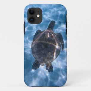 Mooie waterschildpad   Beste geschenk voor het lev iPhone 11 Hoesje