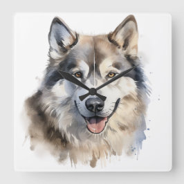 MOOIE WATERVERF ALASKAN MALAMUTE HOND VIERKANTE KLOK