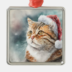 MOOIE WATERVERF WINTER TABBY KAT GEZICHT METALEN ORNAMENT