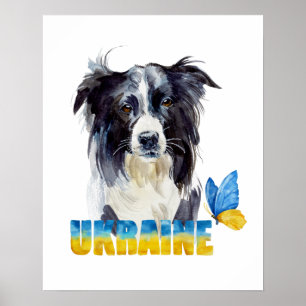 Mooie waterverfwerk Oekraïense hond en vlinder Poster