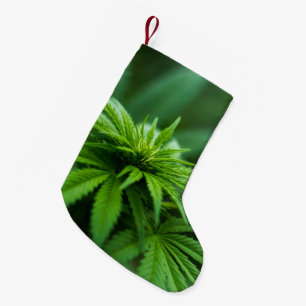 Mooie weed kleine kerstsok