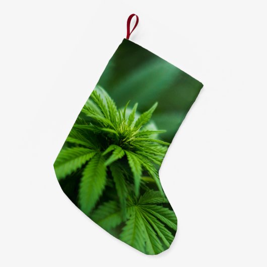 Mooie weed kleine kerstsok (Voorkant (Hangend))