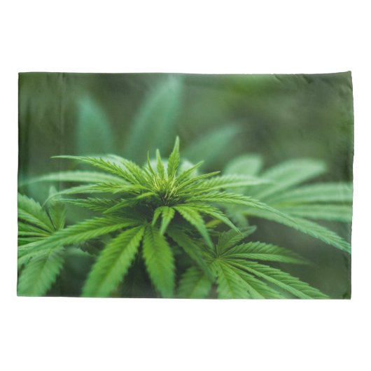 Mooie weed kussensloop (Achterkant)