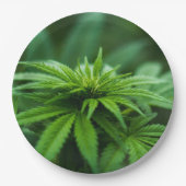Mooie weed papieren bordje (Voorkant)