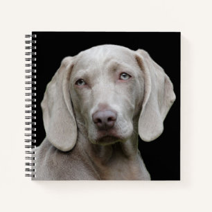 Mooie weimaraner Hunting Dog Notitieboek